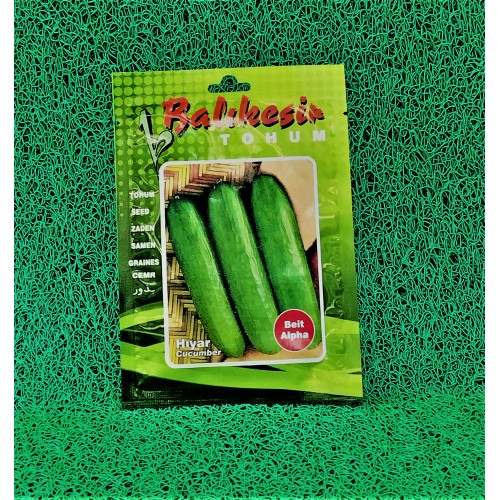 HIYAR TOHUMU (BEİT ALPHA) 10GR